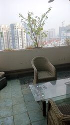 Balestier Point (D12), Apartment #632889641